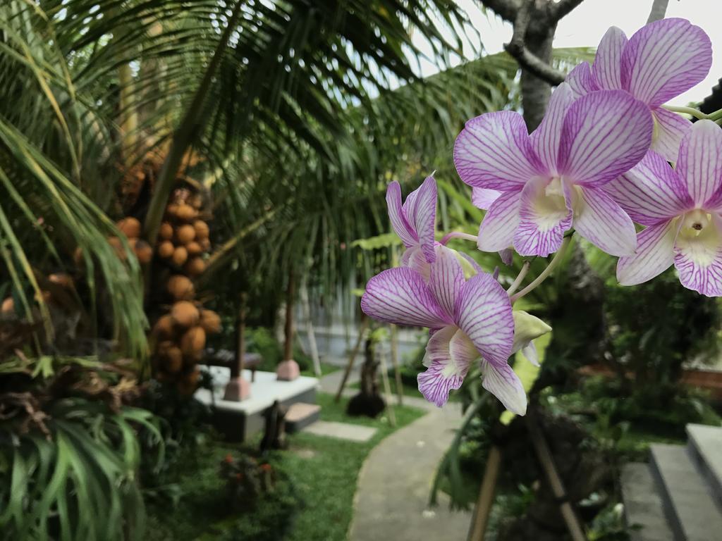 Dimuwa Ubud Екстериор снимка