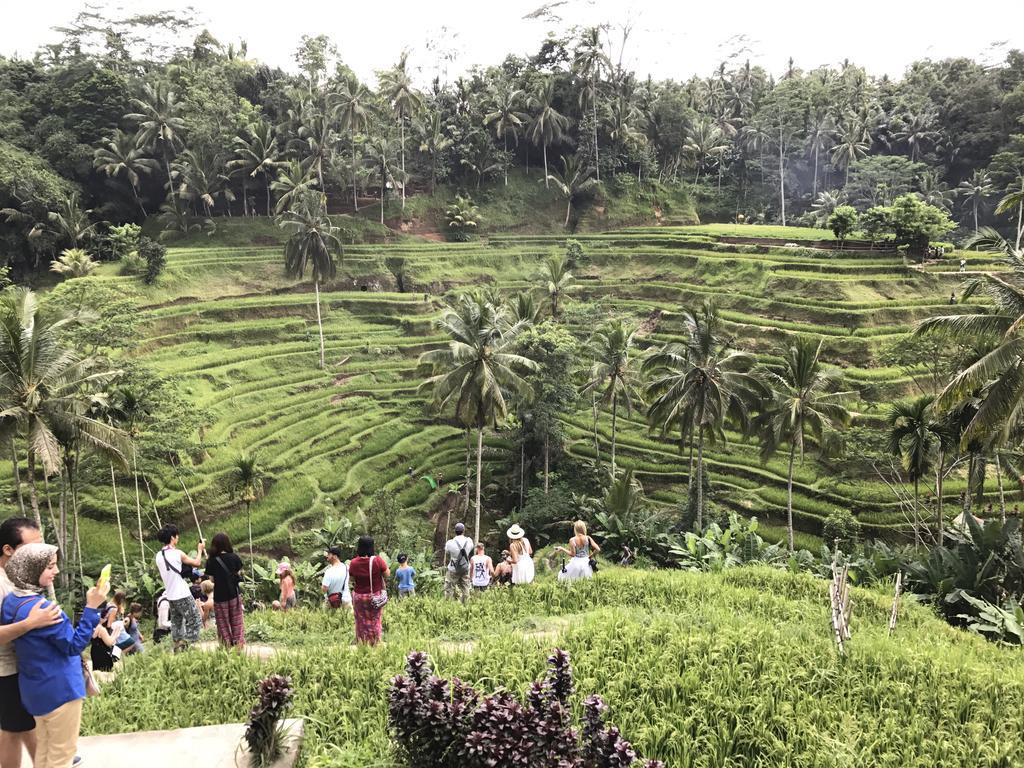 Dimuwa Ubud Екстериор снимка
